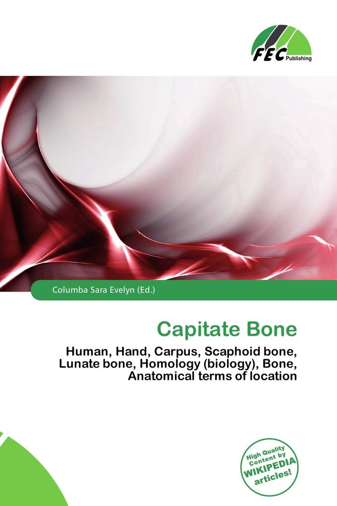 Capitate Bone