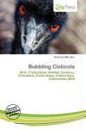 Bubbling Cisticola