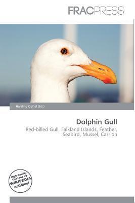 Dolphin Gull