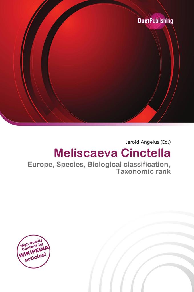 Meliscaeva Cinctella