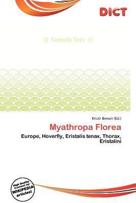 Myathropa Florea