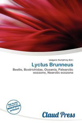 Lyctus Brunneus