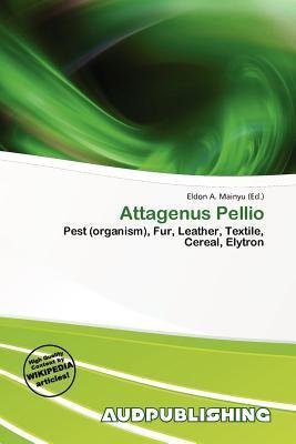 Attagenus Pellio