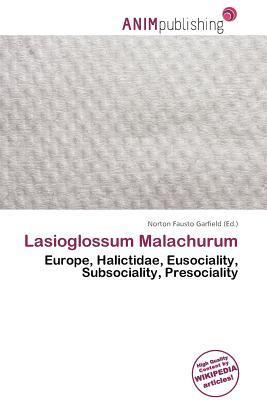 Lasioglossum Malachurum
