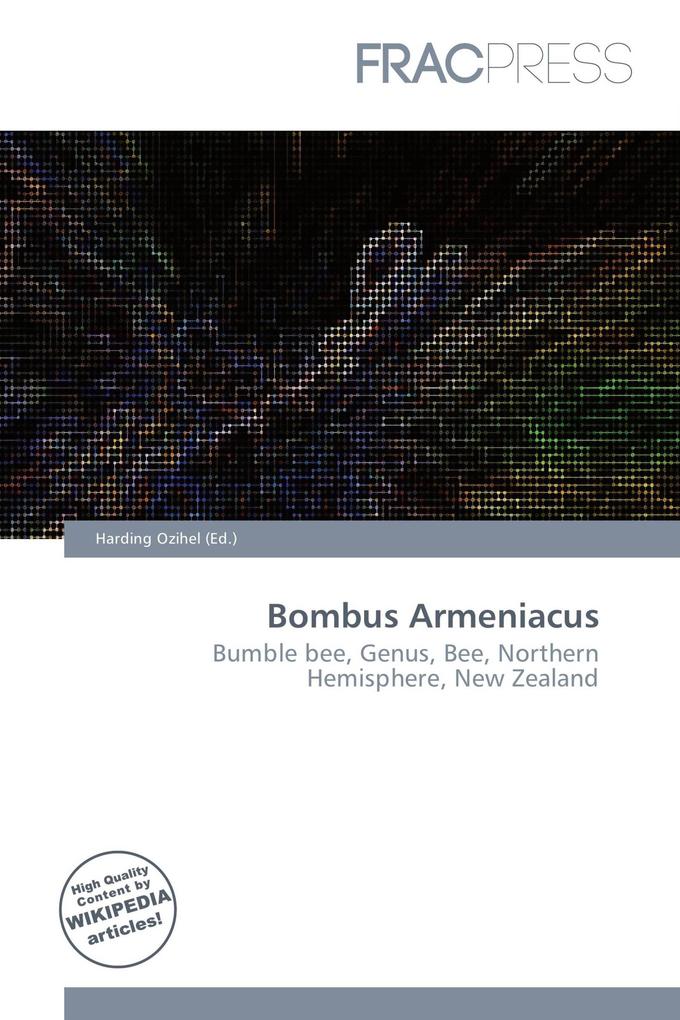 Bombus Armeniacus