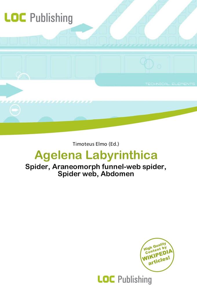 Agelena Labyrinthica