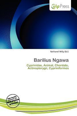 Barilius Ngawa