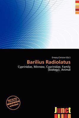Barilius Radiolatus