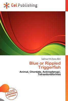 Blue or Rippled Triggerfish