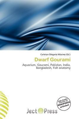 Dwarf Gourami