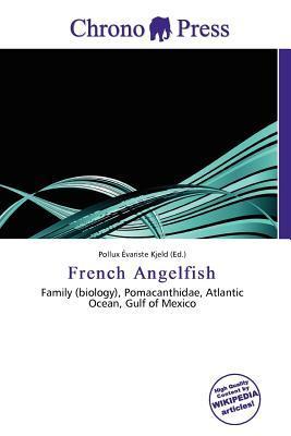 French Angelfish