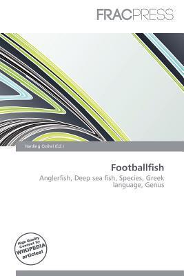 Footballfish