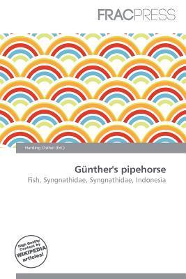 Günther's pipehorse