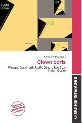 Clown coris