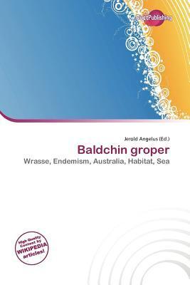 Baldchin groper
