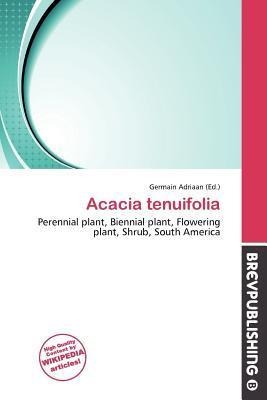Acacia tenuifolia