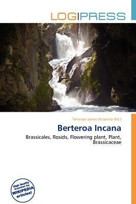 Berteroa Incana