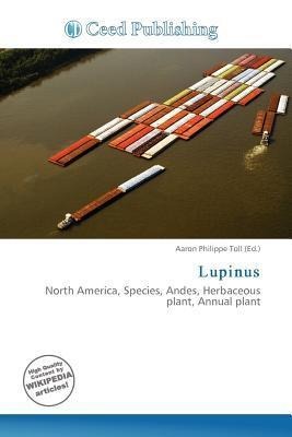 Lupinus