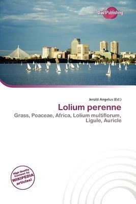 Lolium perenne