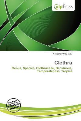 Clethra