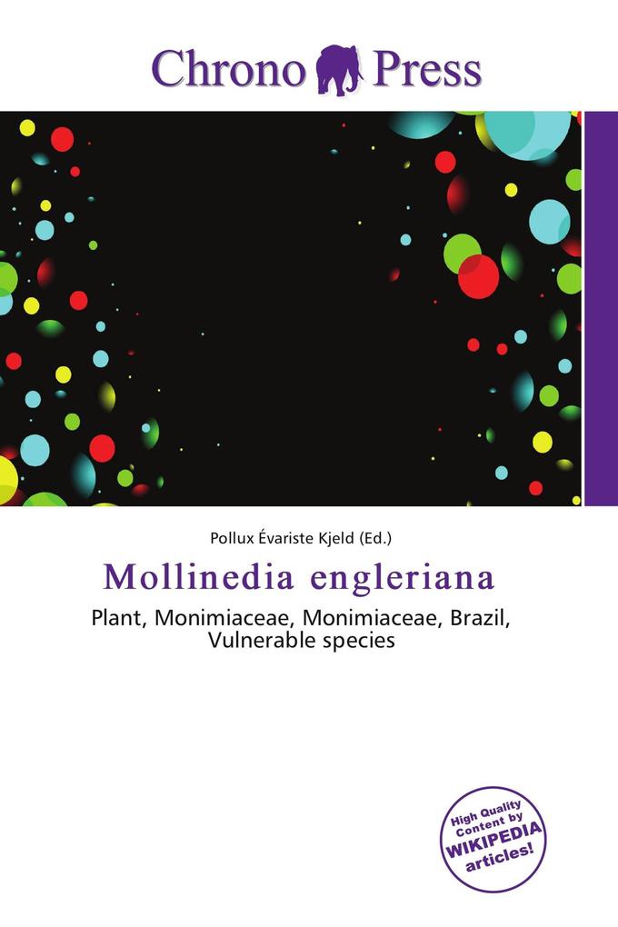 Mollinedia engleriana
