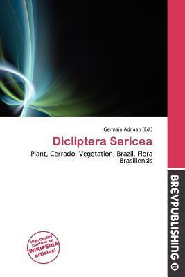 Dicliptera Sericea
