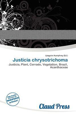 Justicia chrysotrichoma