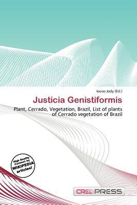 Justicia Genistiformis