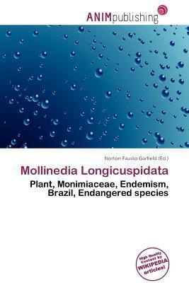Mollinedia Longicuspidata