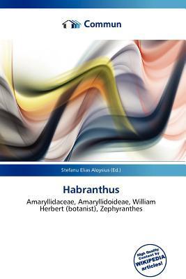 Habranthus