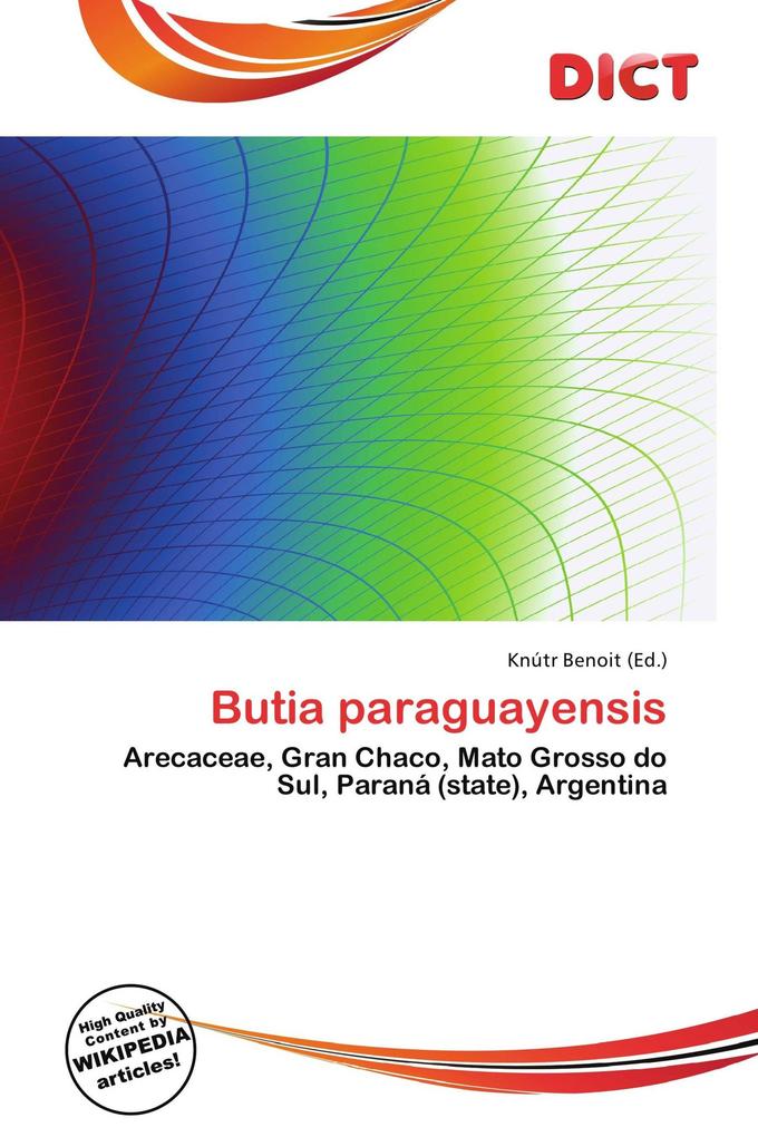 Butia paraguayensis