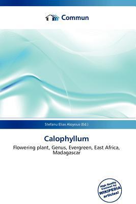 Calophyllum
