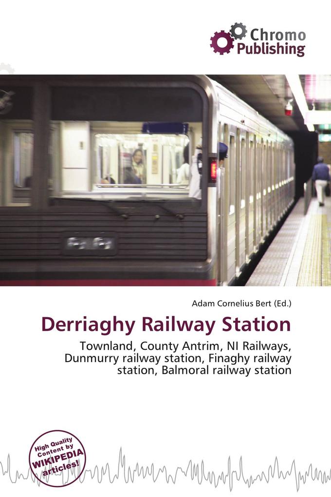 Derriaghy Railway Station