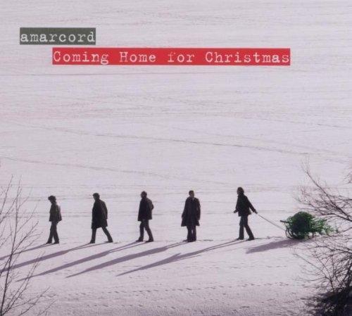 Coming Home For Christmas