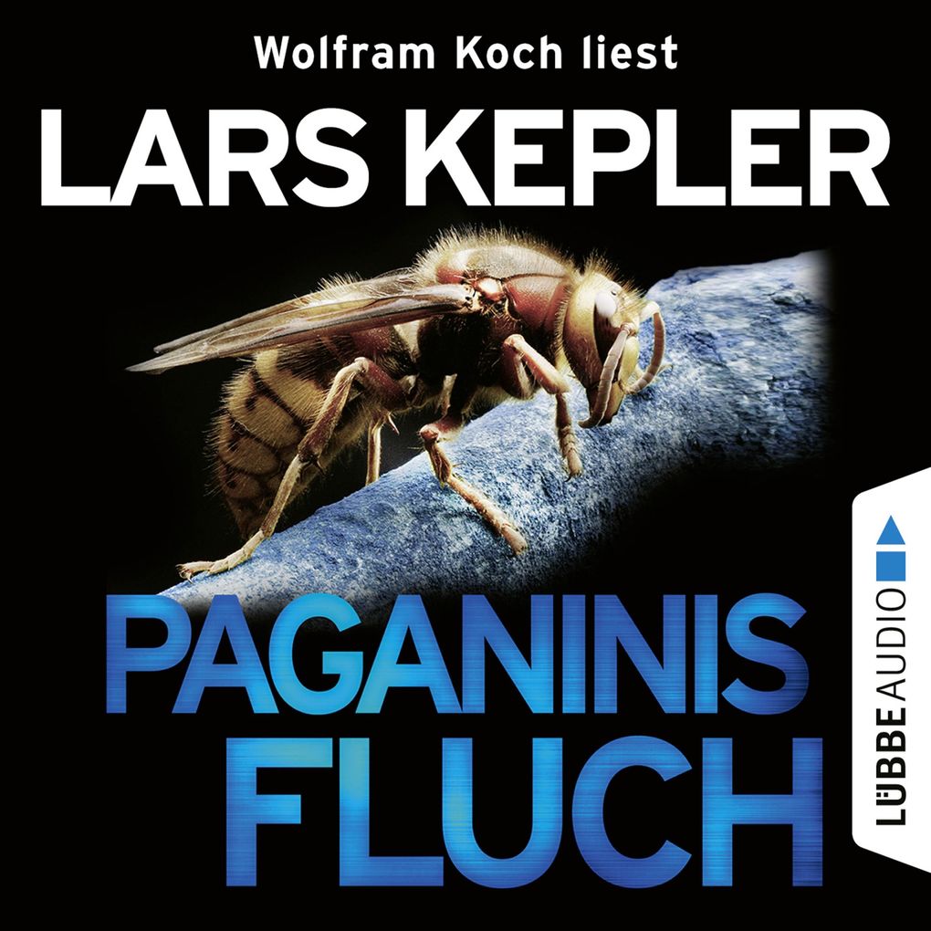 Paganinis Fluch - Joona Linna Teil 2