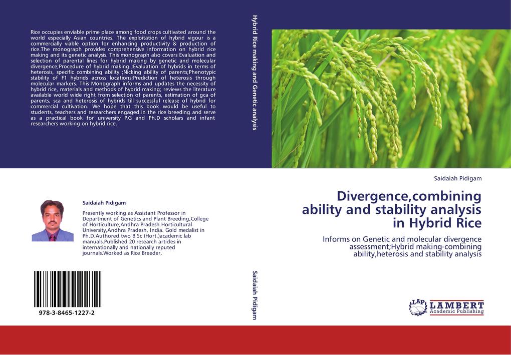 Divergencecombining ability and stability analysis in Hybrid Rice