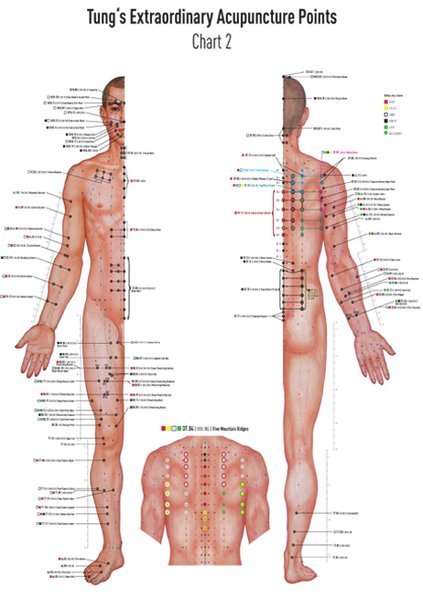 Akupunkturtafel Chart 2 Tung‘s Extraordinary Acupuncture Points on the regular channels
