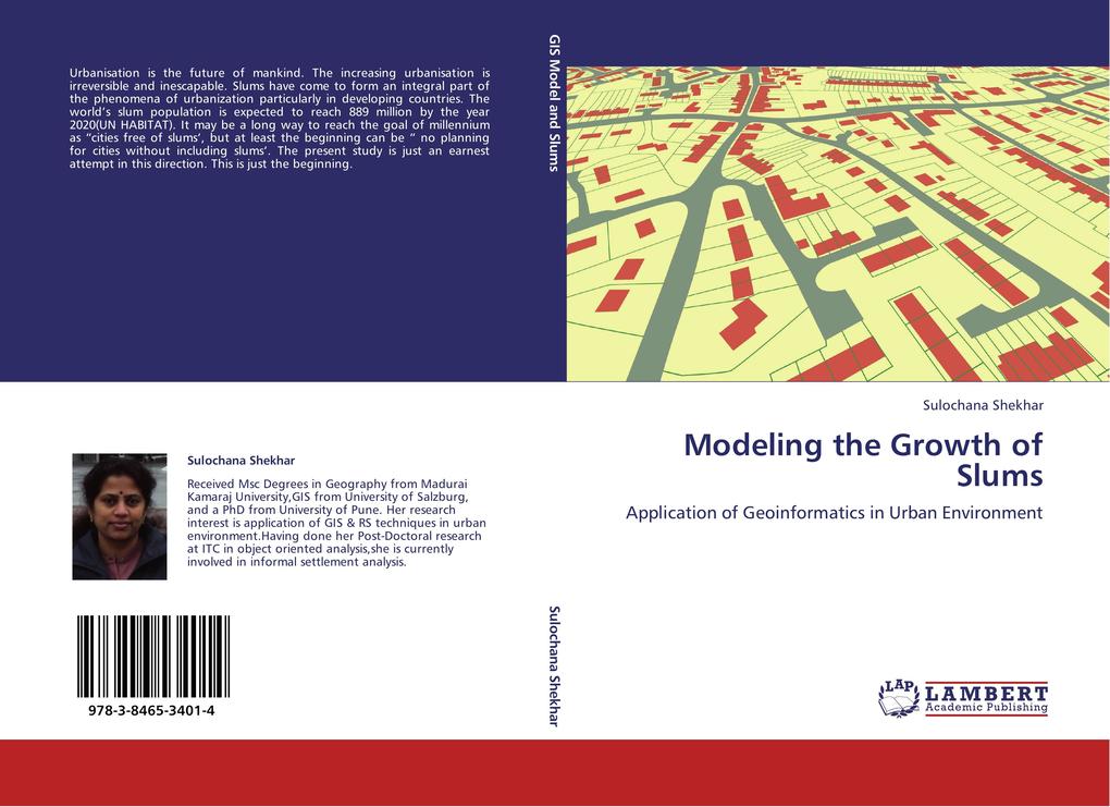 Modeling the Growth of Slums