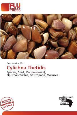 Cylichna Thetidis