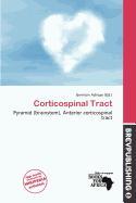 Corticospinal Tract