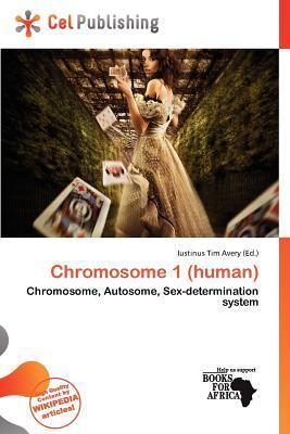 Chromosome 1 (human)