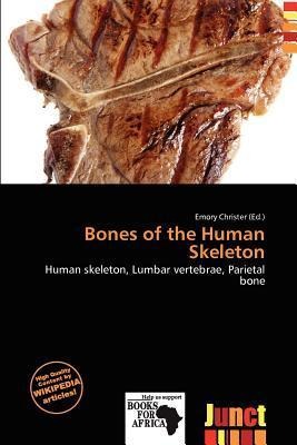 Bones of the Human Skeleton