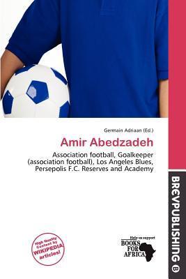 Amir Abedzadeh