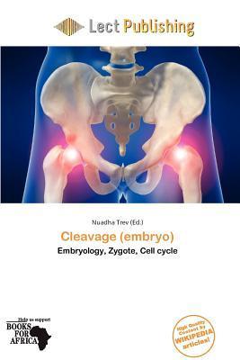 Cleavage (embryo)