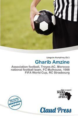 Gharib Amzine