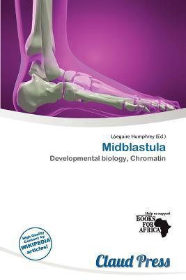 Midblastula