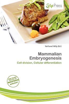 Mammalian Embryogenesis