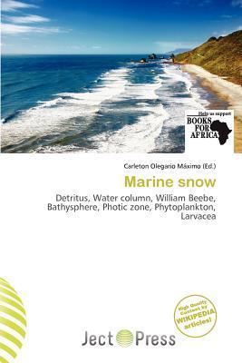 Marine snow