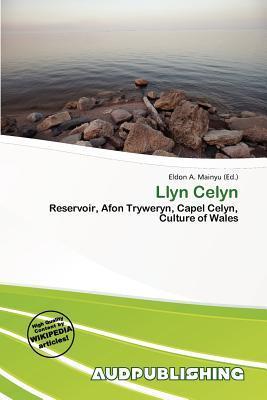 Llyn Celyn