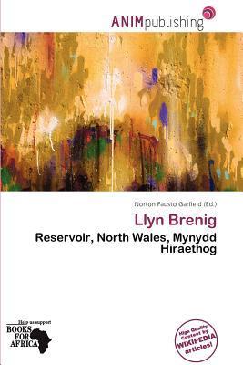 Llyn Brenig